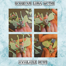 Load image into Gallery viewer, Luna moth